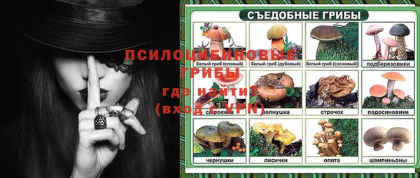 мдма Краснослободск